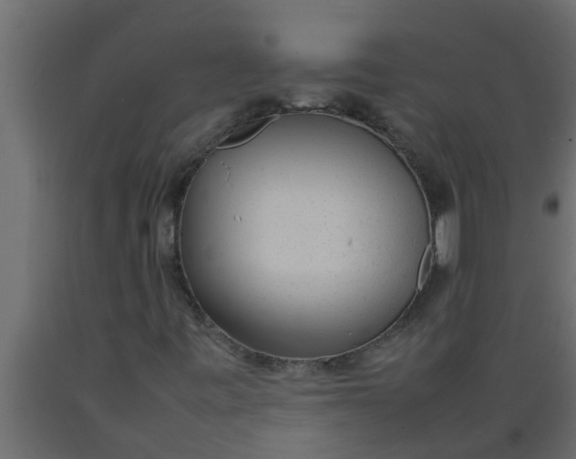 X0000089461443200707061253