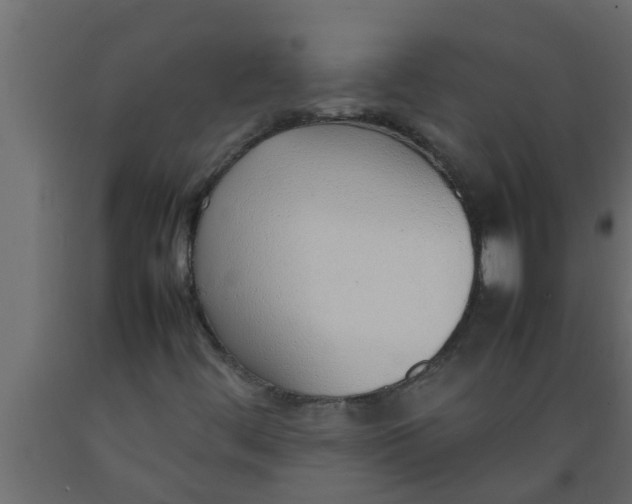 X0000089461444200707061253