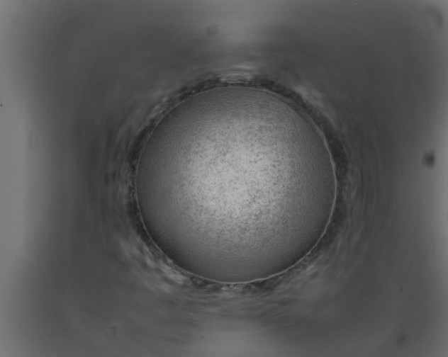 X0000089461445200707061253
