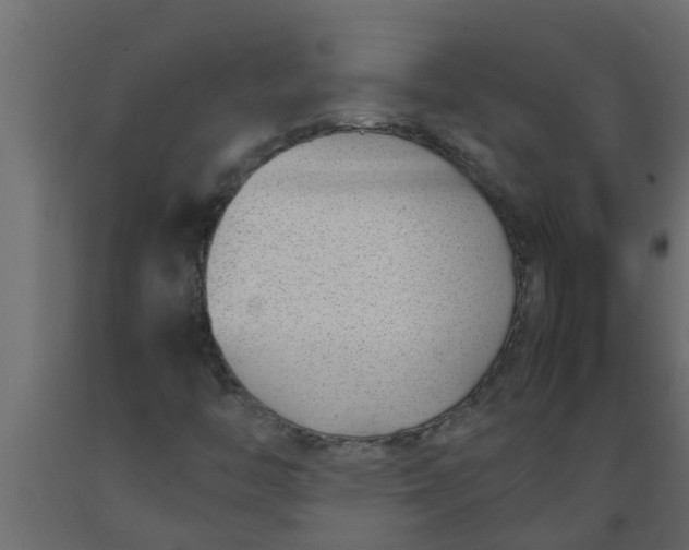 X0000089461446200707061253