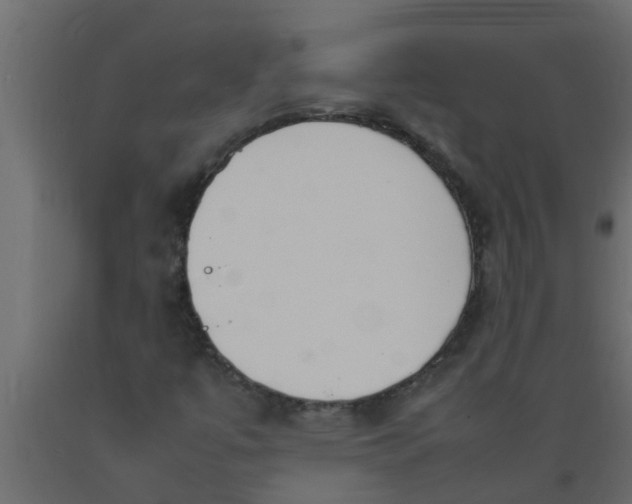 X0000089461447200707061253
