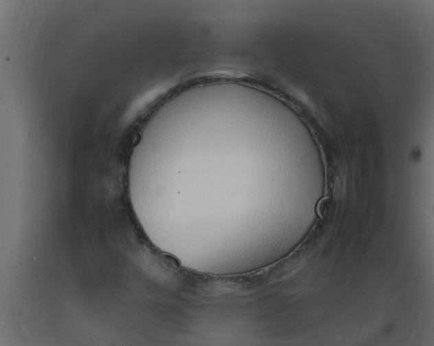 X0000089461448200707061253