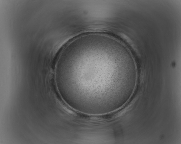 X0000089461449200707061253