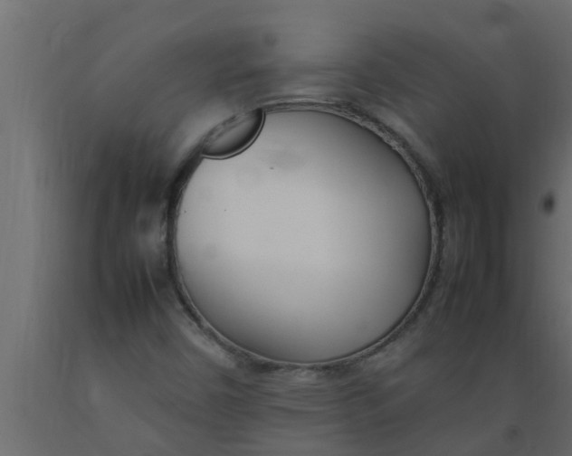X0000089461450200707061253