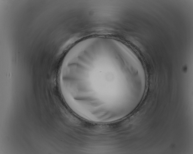 X0000089461451200707061253