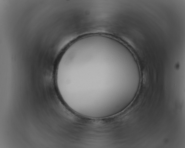 X0000089461452200707061253