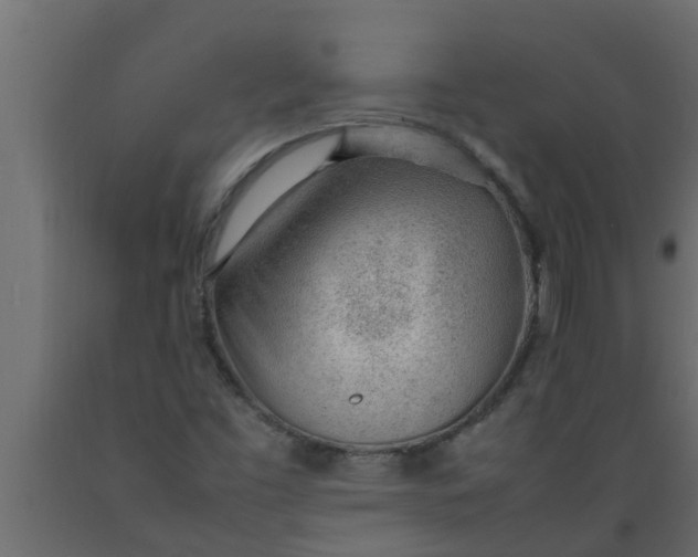 X0000089461453200707061253