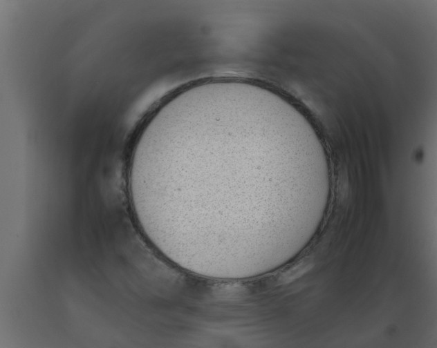 X0000089461454200707061253