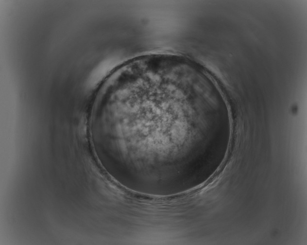 X0000089461455200707061253