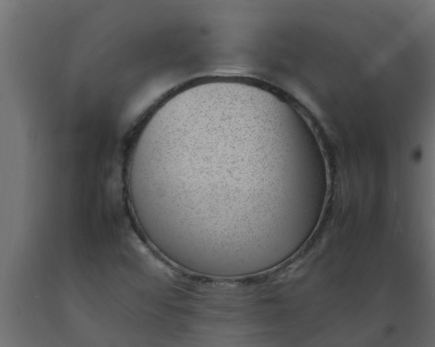 X0000089461456200707061253