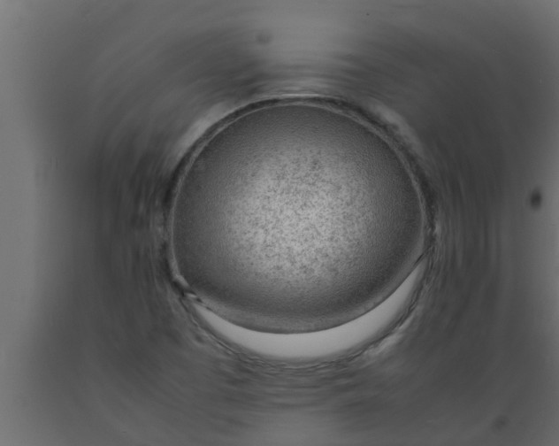 X0000089461457200707061253