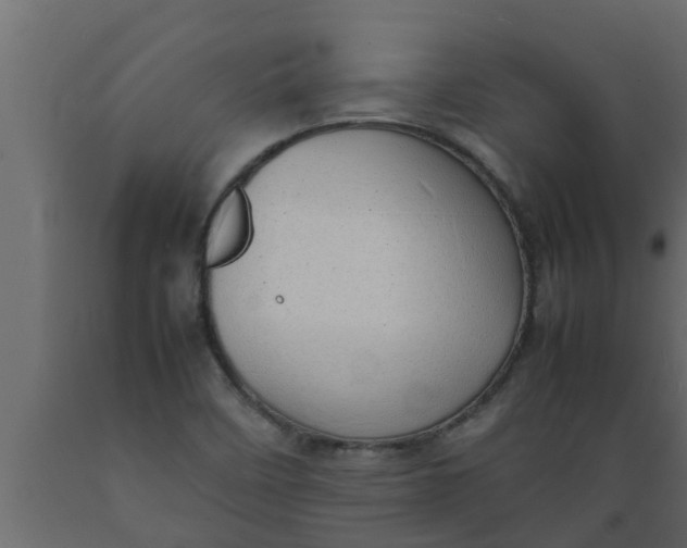 X0000089461458200707061253