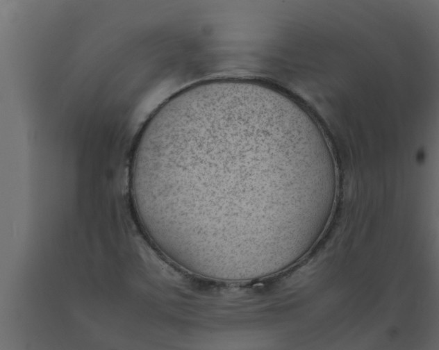 X0000089461459200707061253