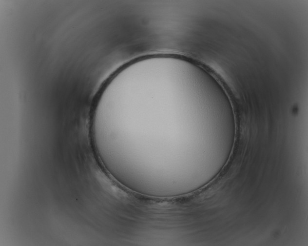 X0000089461460200707061253