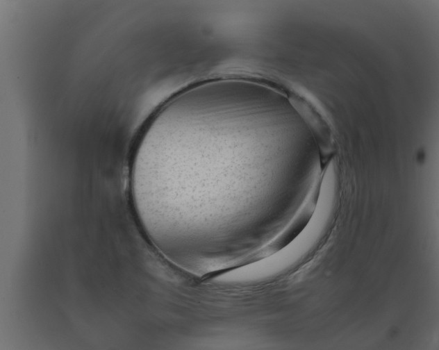 X0000089461461200707061253