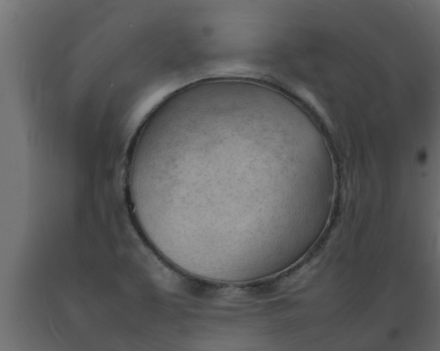 X0000089461463200707061253
