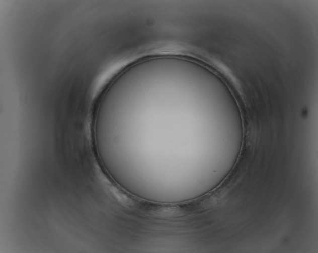 X0000089461464200707061253