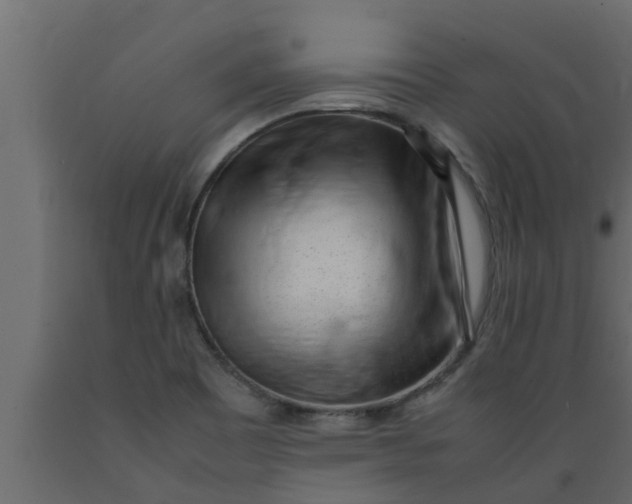 X0000089461465200707061253