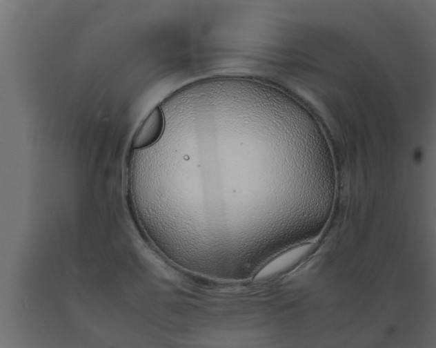 X0000089461467200707061253