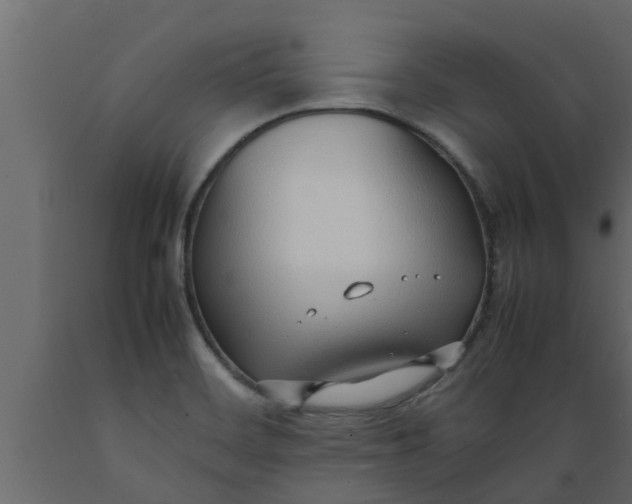 X0000089461468200707061253