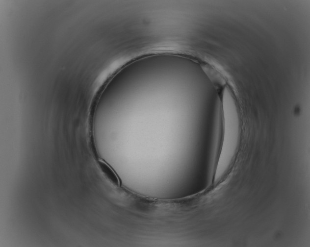 X0000089461469200707061252