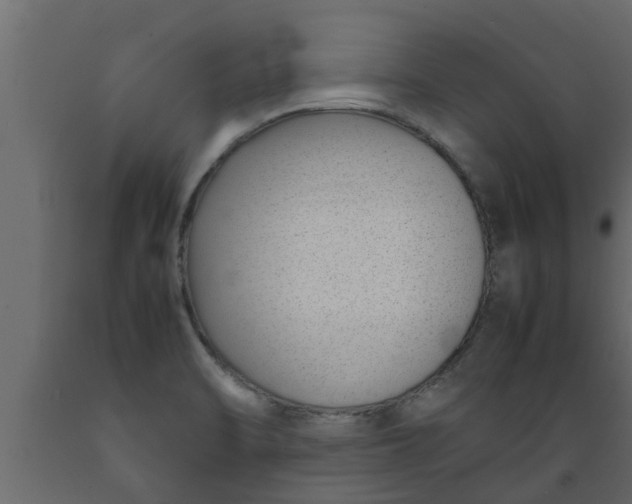 X0000089461470200707061252