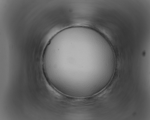 X0000089461471200707061252