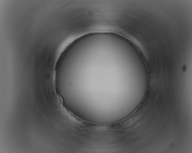 X0000089461472200707061252
