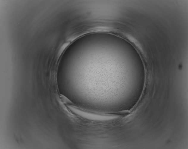 X0000089461473200707061252