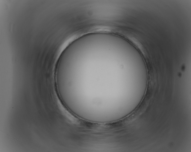 X0000089461475200707061252