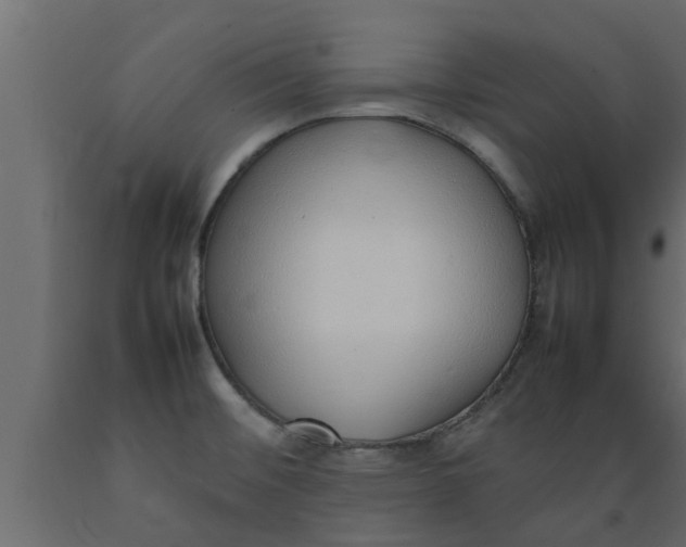 X0000089461476200707061252