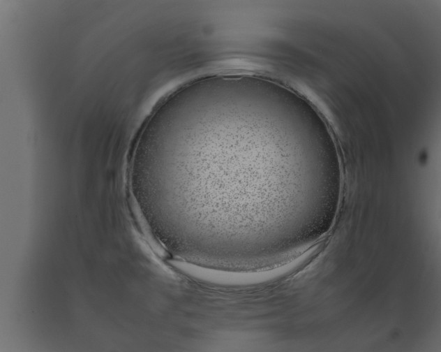 X0000089461477200707061252