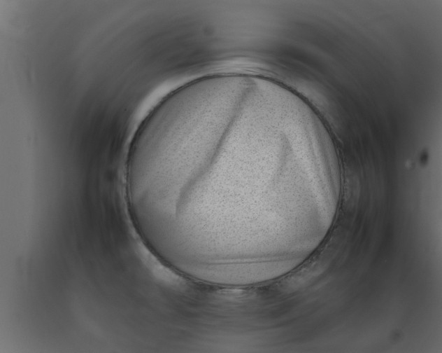 X0000089461478200707061252