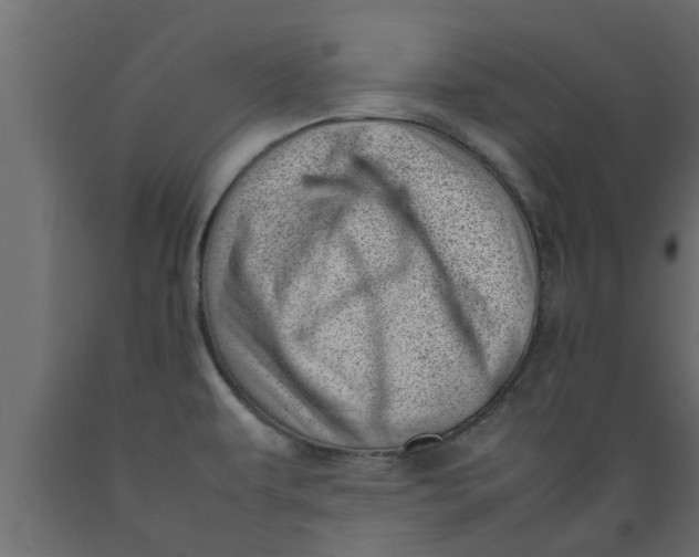 X0000089461479200707061252