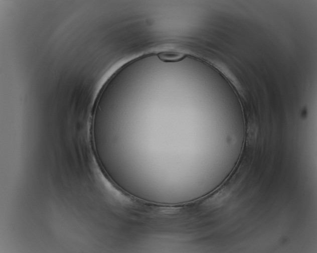 X0000089461484200707061252