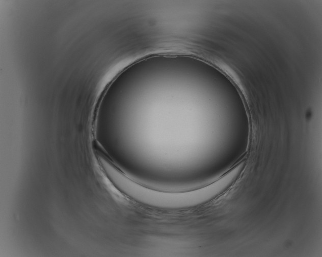 X0000089461485200707061252