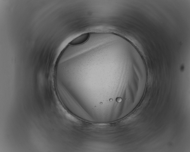 X0000089461486200707061252