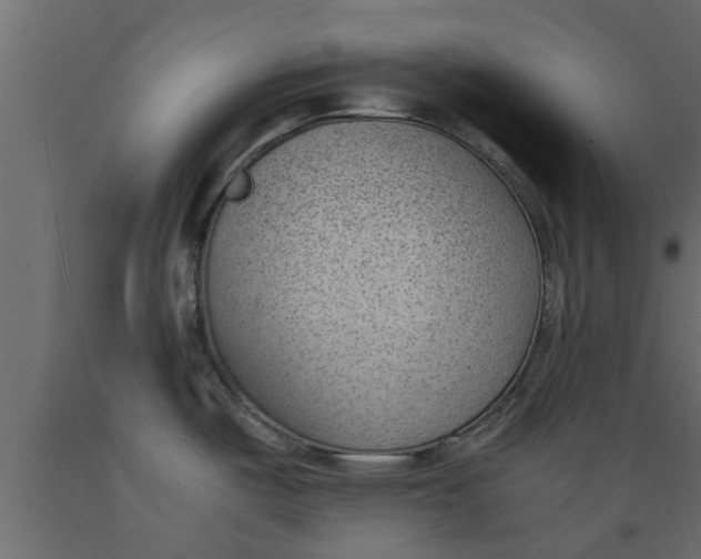 X0000089461487200707061252