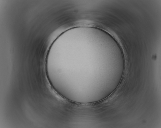 X0000089461488200707061252