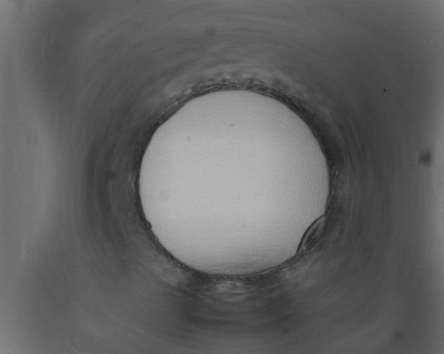 X0000089461489200707061252
