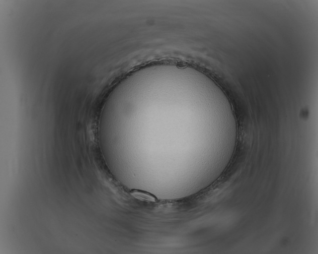 X0000089461490200707061252