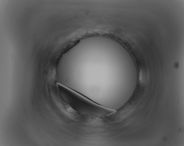 X0000089461492200707061252