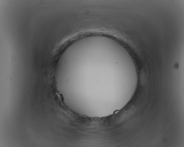 X0000089461494200707061252
