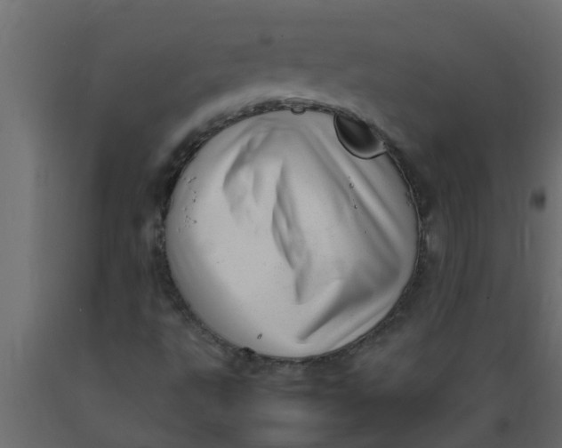X0000089461495200707061252