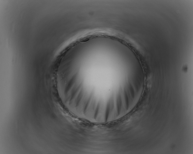X0000089461496200707061252