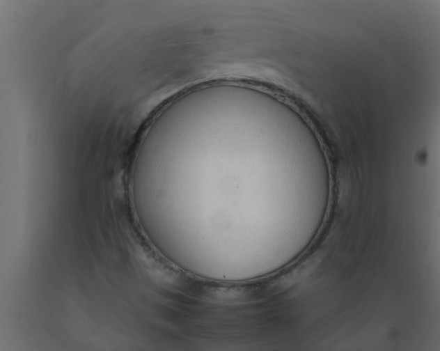 X0000089461497200707061252