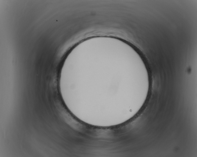 X0000089461498200707061252