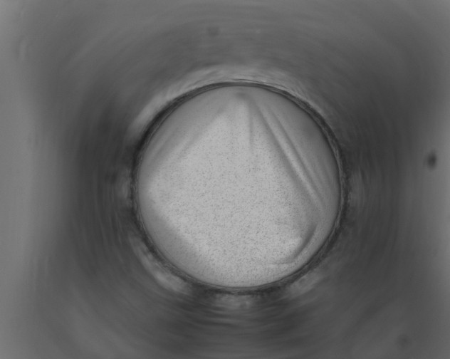 X0000089461499200707061252