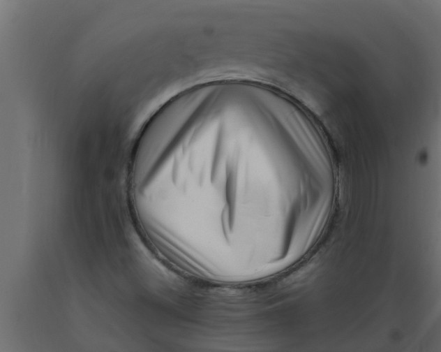 X0000089461500200707061252
