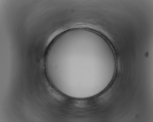 X0000089461501200707061252